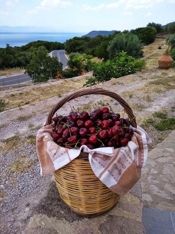 Вилла Ktima Kiourelioti Skala Sykamineas Экстерьер фото